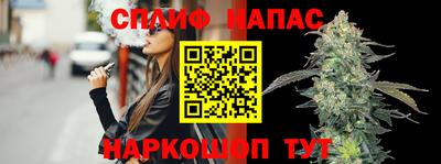 прущие крисы Моздок