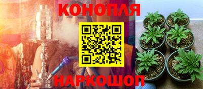 PSILOCYBIN Можайск
