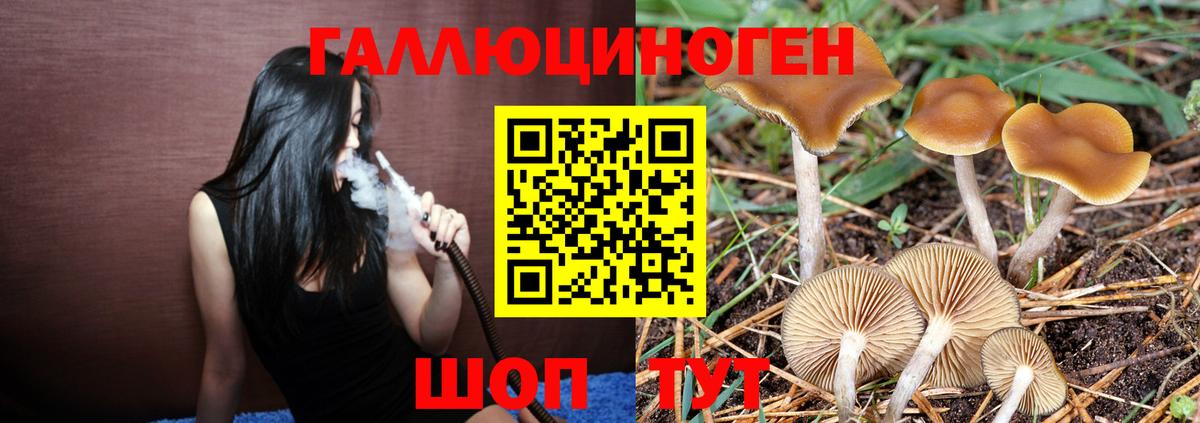 Волгоград  Галлюциногенные грибы Magic Shrooms  Вход с VPN  Галлюциногенные грибы Psilocybe 